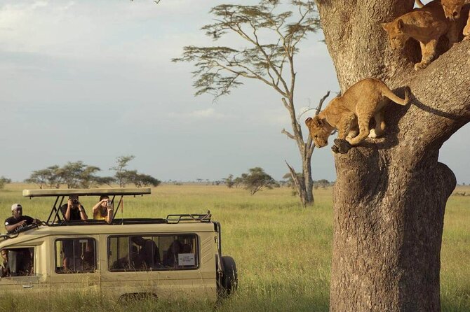 Serengeti & Ngorongoro